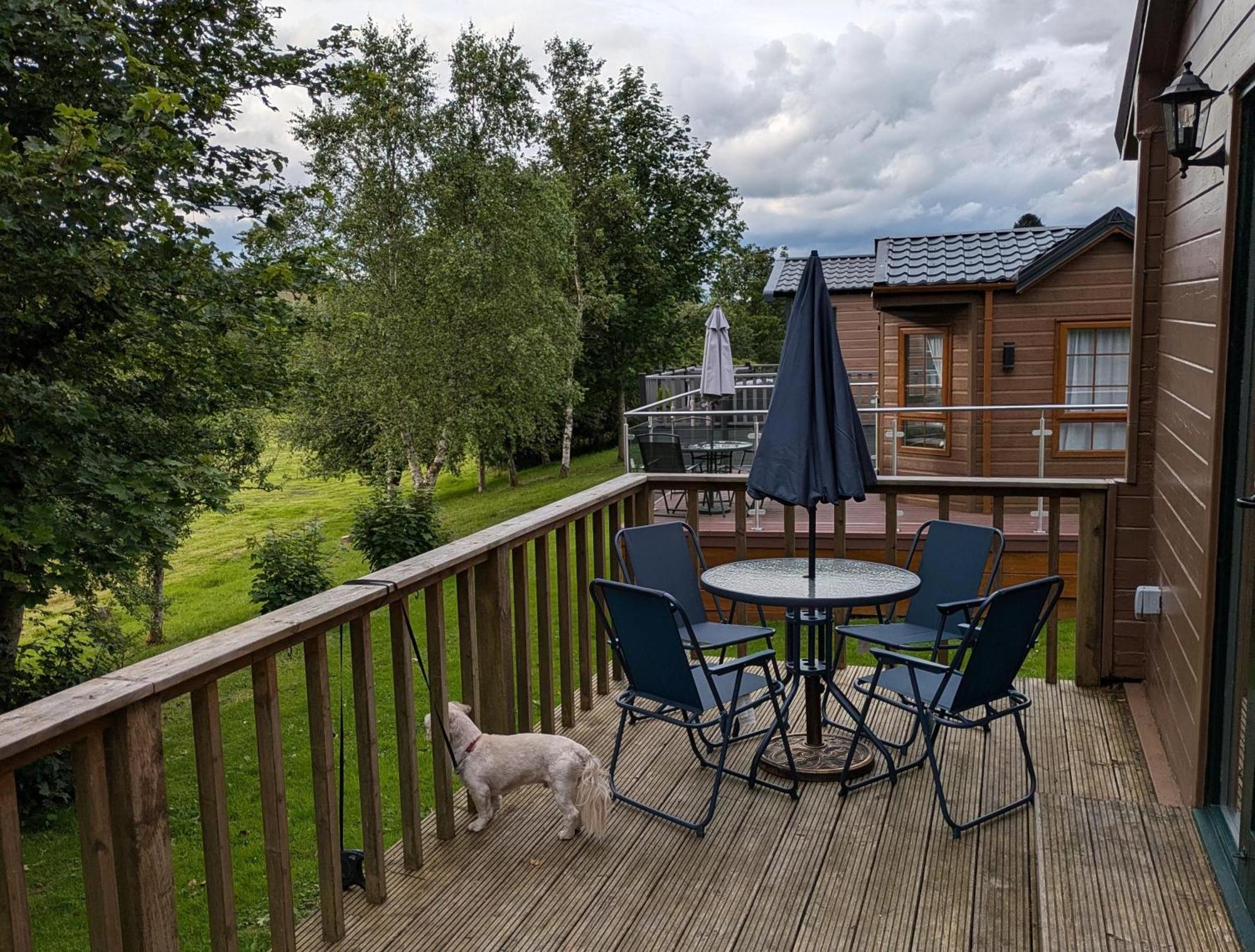 Rustic Lodge Retreat At Riverview Holiday Park Newcastleton Luaran gambar