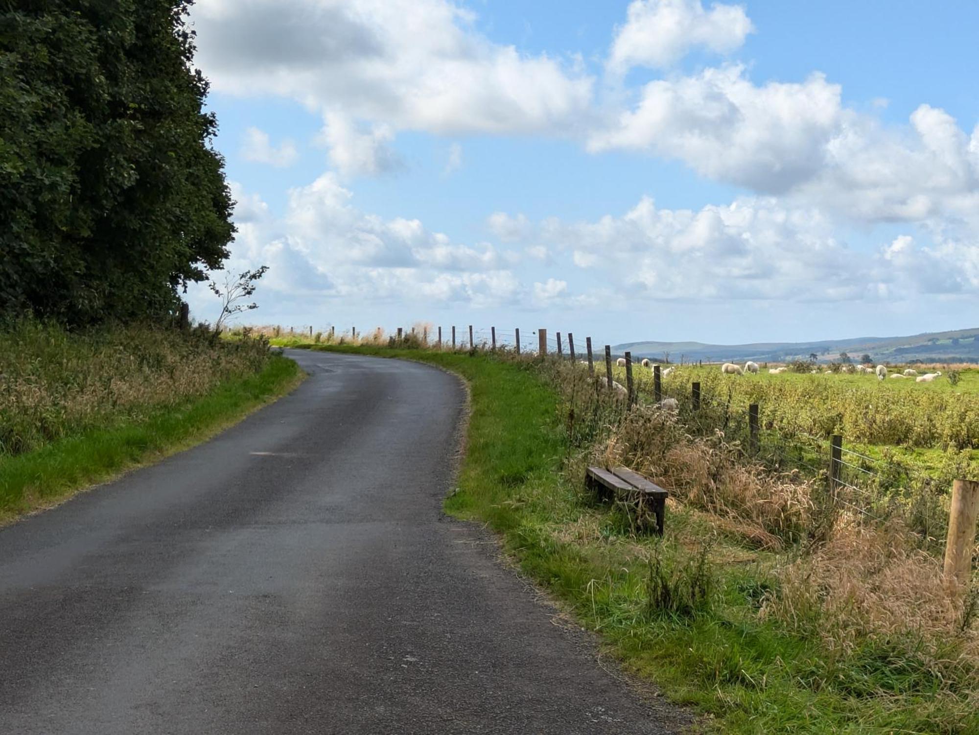 Rustic Lodge Retreat At Riverview Holiday Park Newcastleton Luaran gambar