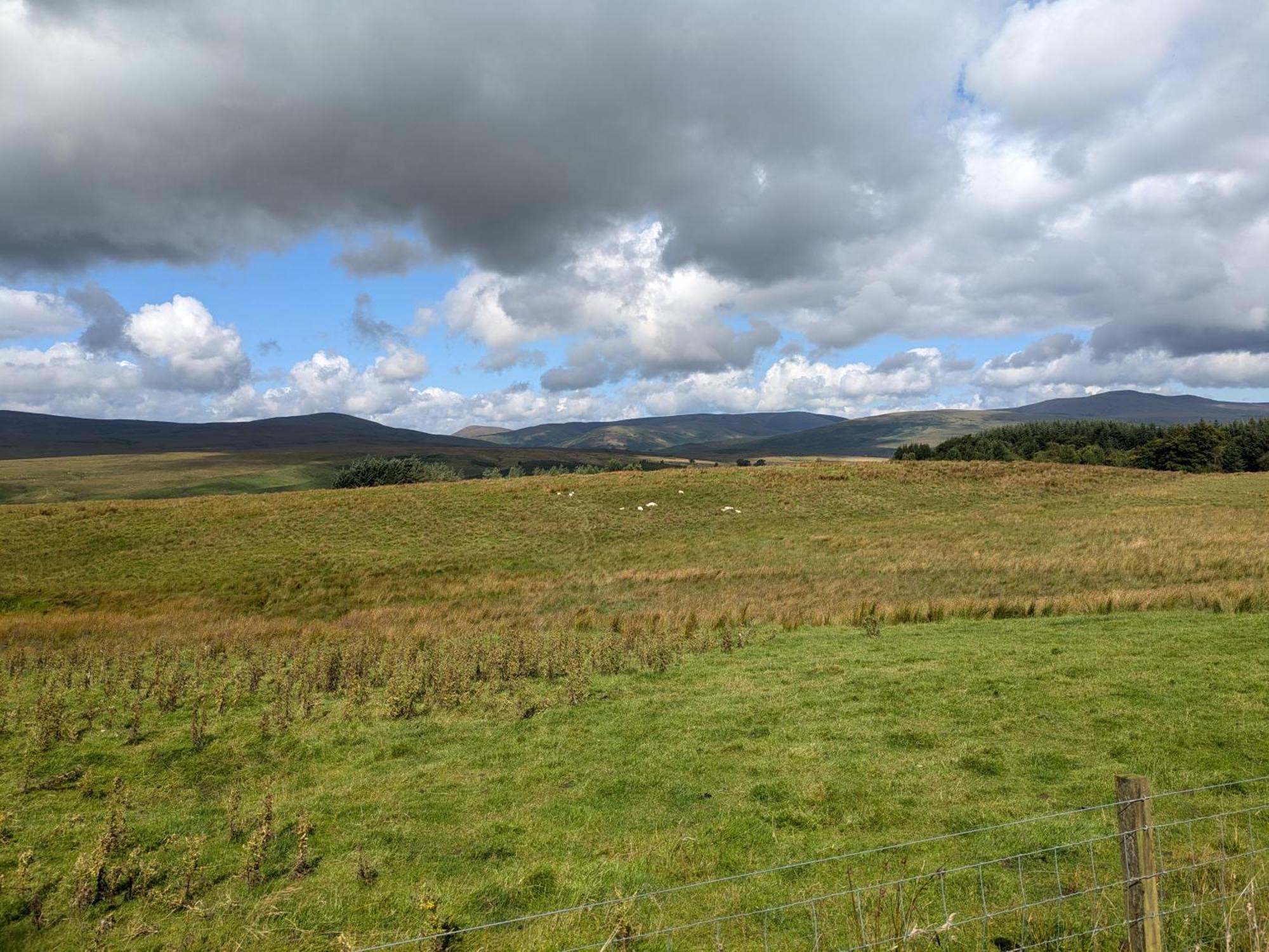 Rustic Lodge Retreat At Riverview Holiday Park Newcastleton Luaran gambar