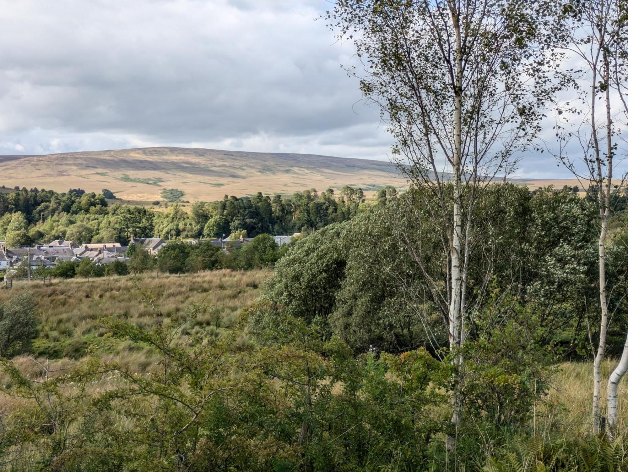 Rustic Lodge Retreat At Riverview Holiday Park Newcastleton Luaran gambar